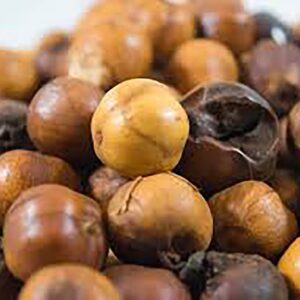 African Country Onion Spice | Whole Cameroon Onion Spice Seeds – Natural Traditional Spice for Soups, Stews & African Cooking – Afrostyrax Lepidophyllus | Aromatic Flavor Enhancer | 4oz